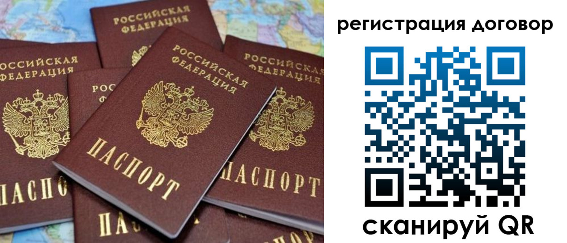прописка гарантия в Пионерском